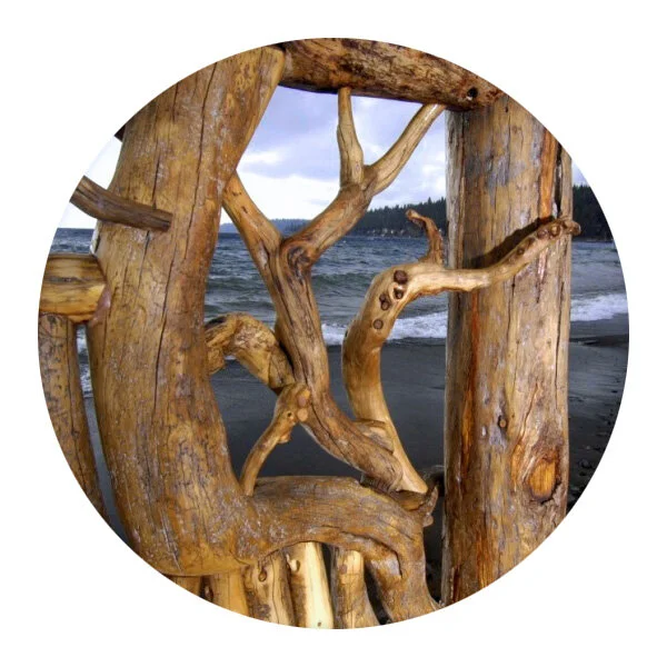 spirit_of_washoe5.jpg