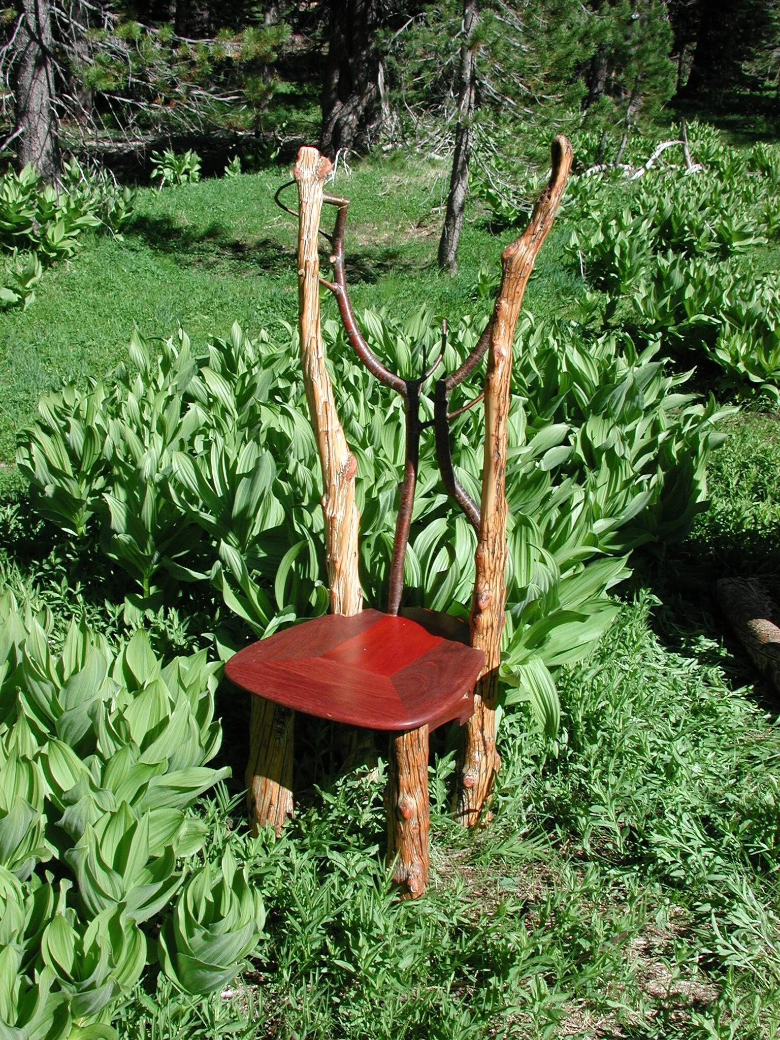 rollswood_chair.jpg