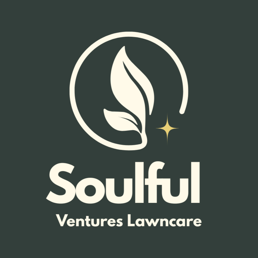 Soulful+Venture+.png