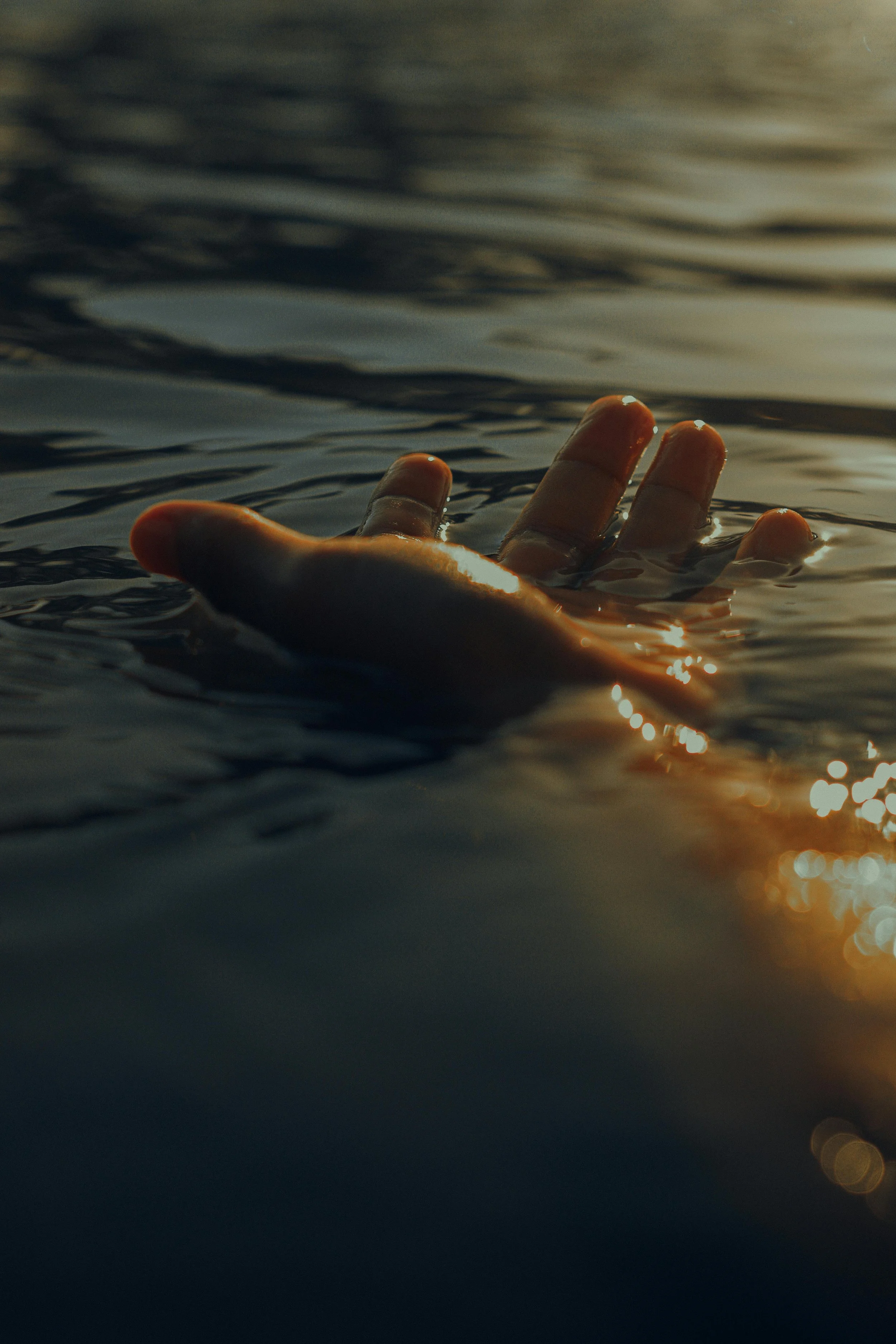 pexels-atahandemir-7204553.jpg