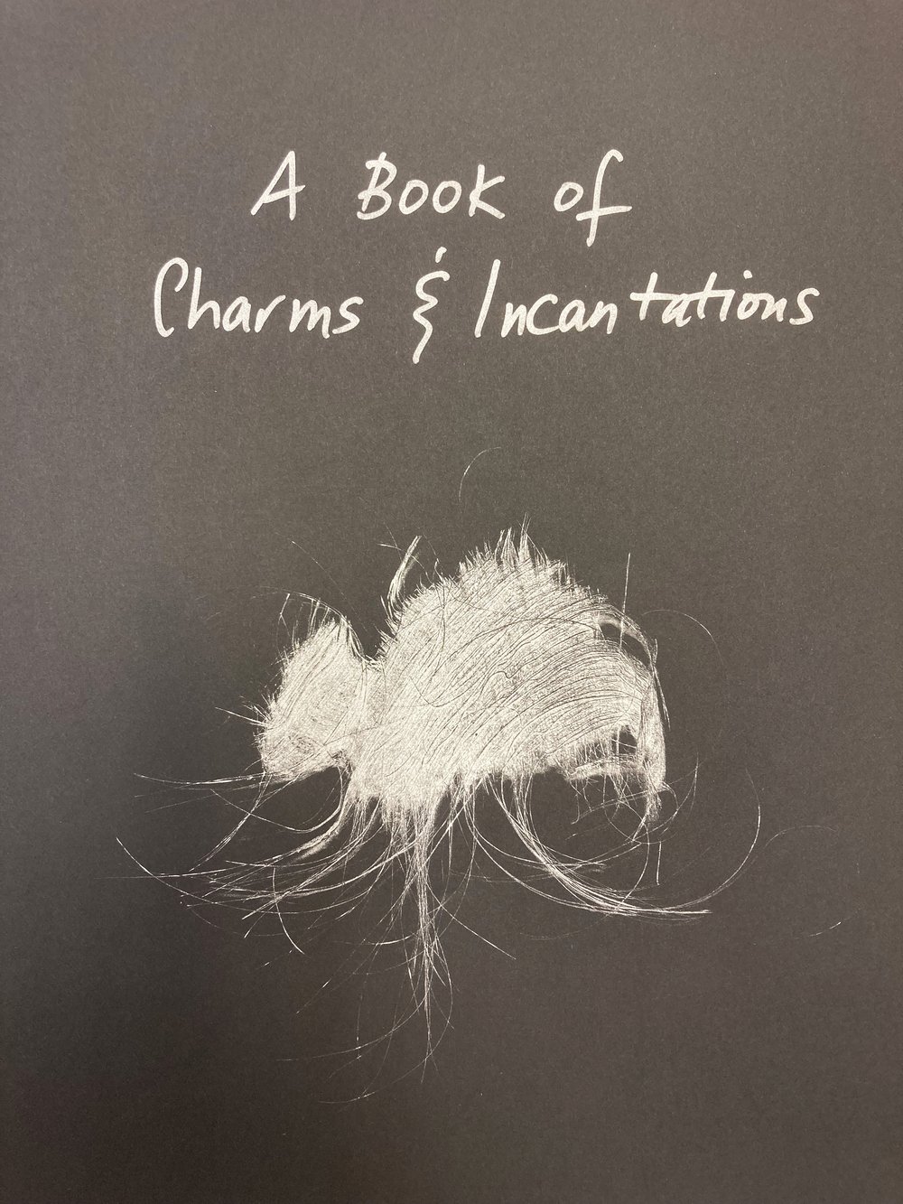 Davis, Annalee_A Book of Charms _ Incantations (Part V)_(cover detail).jpg