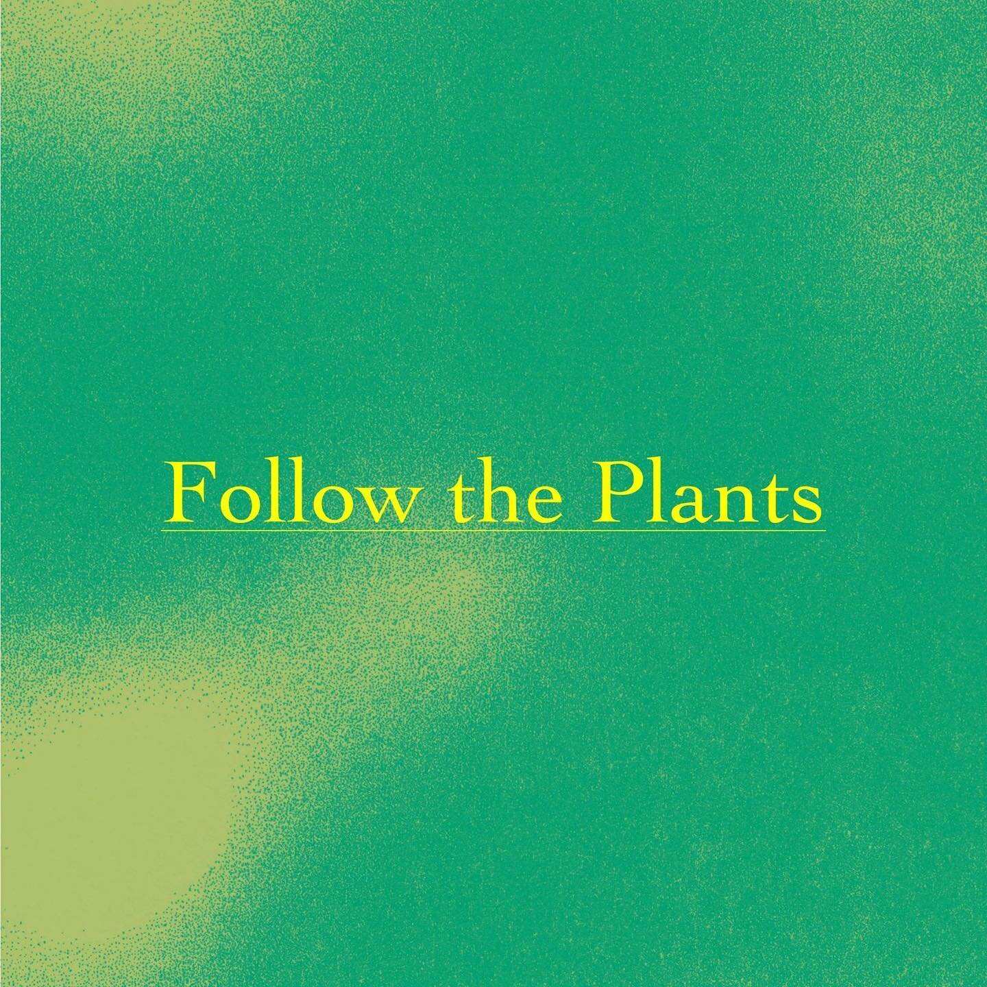 I&rsquo;m so happy to be a part of Follow the Plants. Thanks for the invite, Maddy, for the support, Yvonne, and for being my buddy artist, Alana! More to follow on my partnership and exchange with Alana, but for the moment, here&rsquo;s the info on 