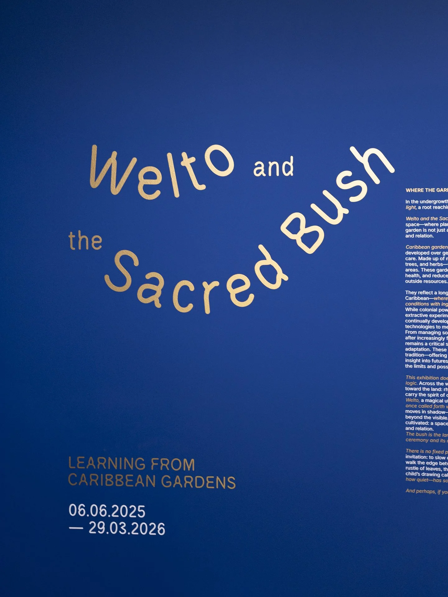 WELTO-Exhibition_SI_MS_WEB-43.jpg