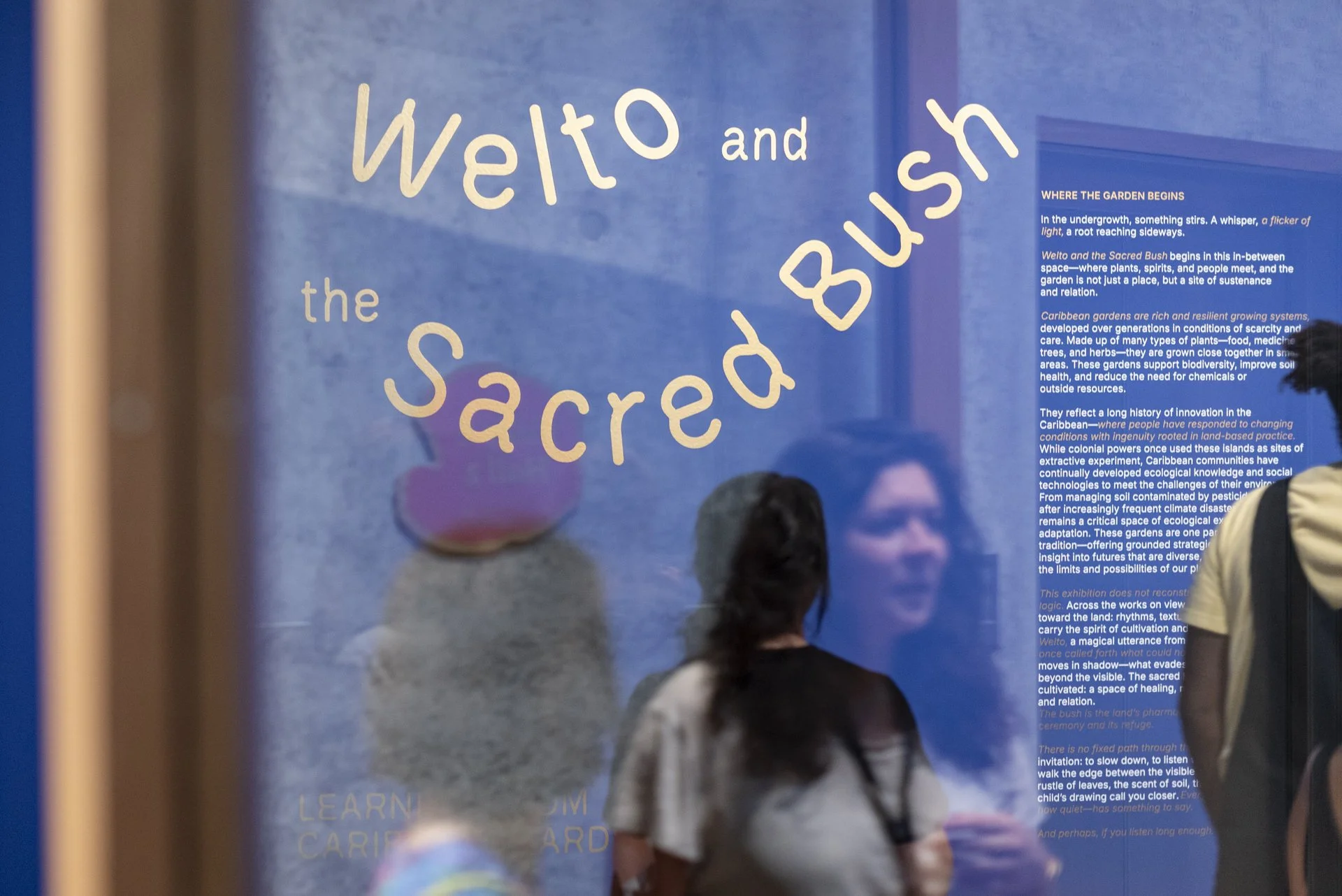 Welto and the Sacred Bush