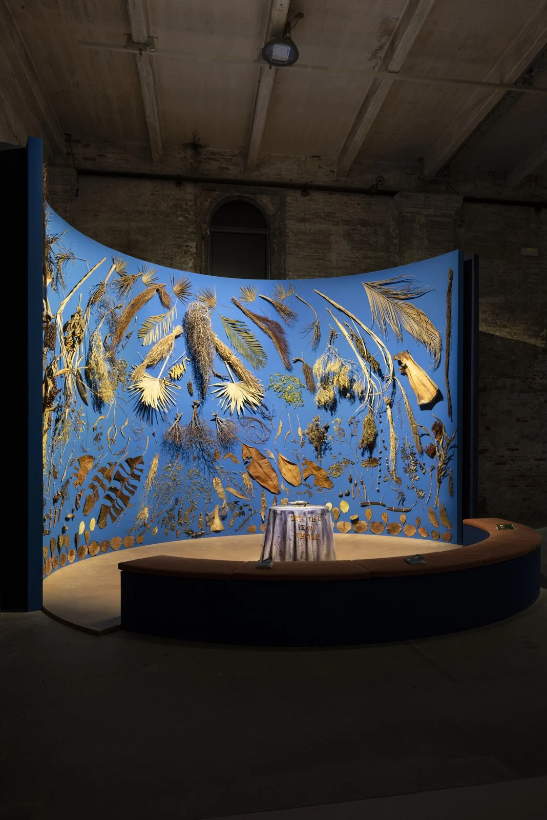 Annalee Davis_Biennale 2026_preview_© Matteo Losurdo-1.jpg