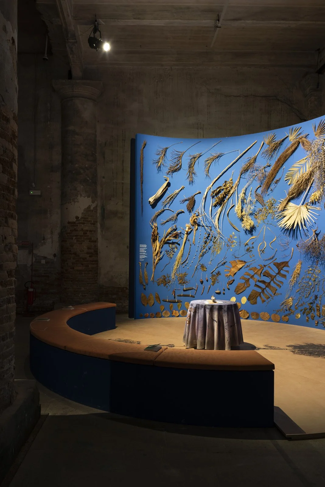 Annalee Davis_Biennale 2026_preview_© Matteo Losurdo-2.jpg
