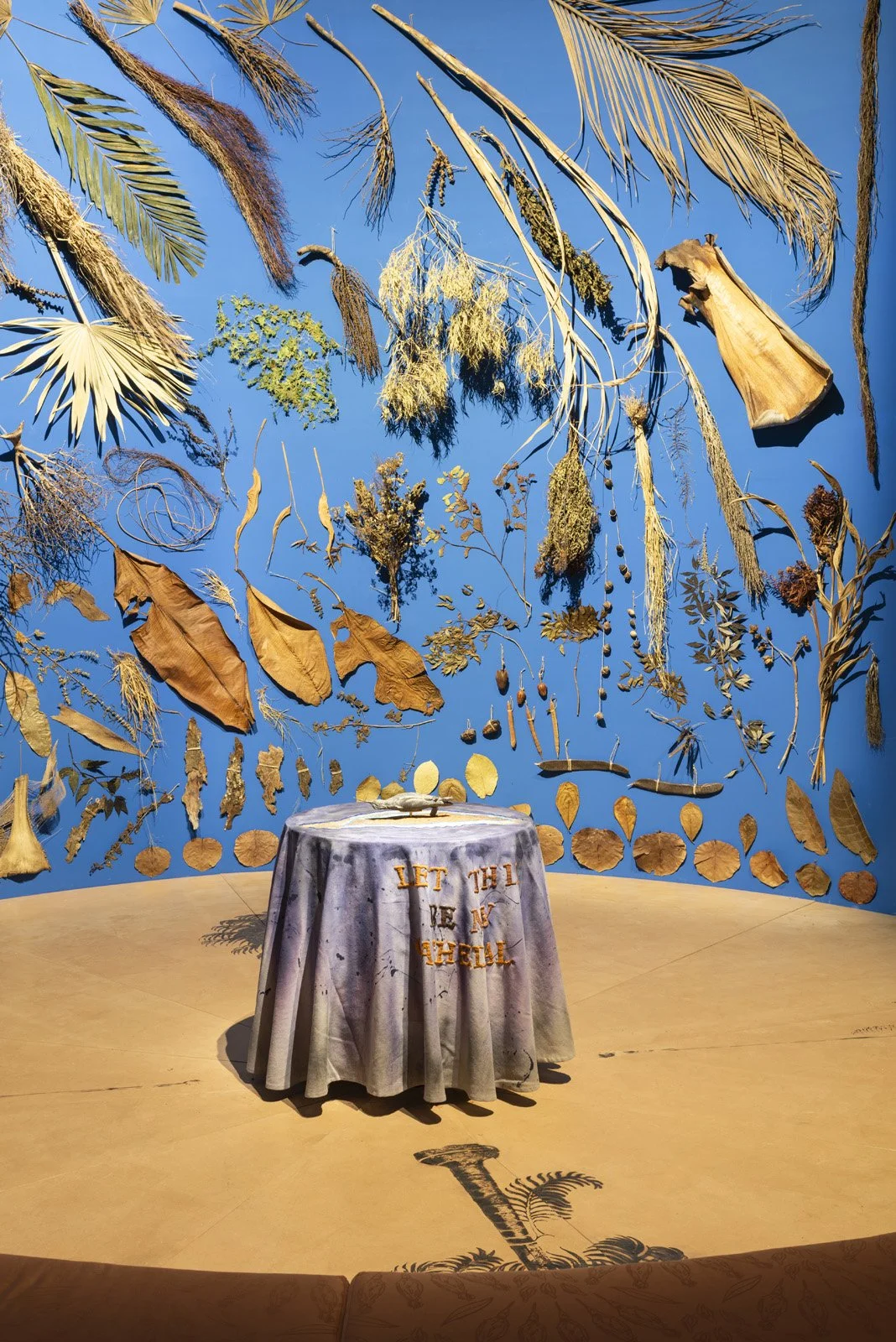 Annalee Davis_Biennale 2026_preview_© Matteo Losurdo-3.jpg