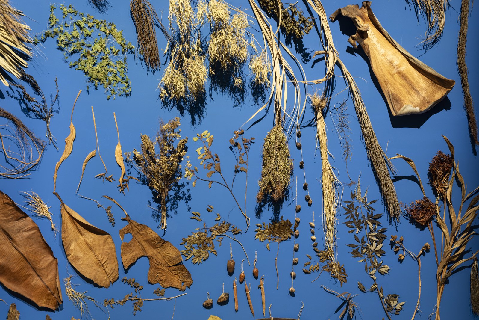 Annalee Davis_Biennale 2026_preview_© Matteo Losurdo-5.jpg