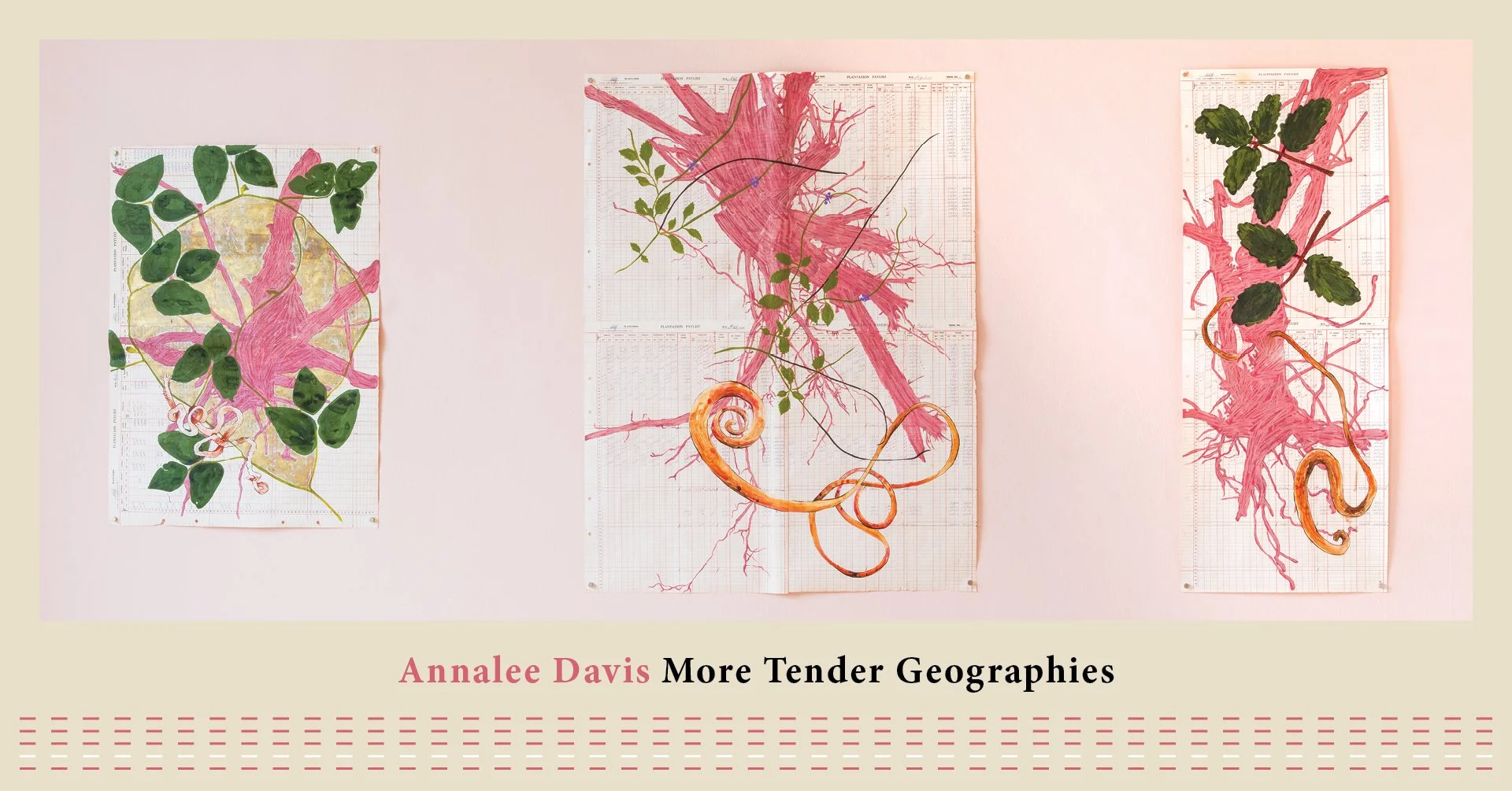 More Tender Geographies