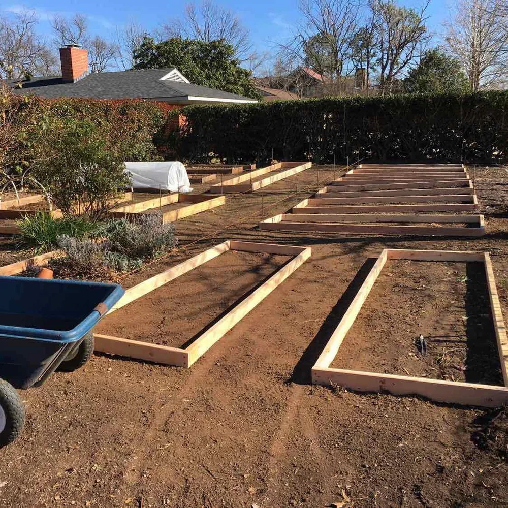 Growing Great Garden Soil (even in tough regions), Part I — Dr. Rian Ada  Hunter, Ph.D.