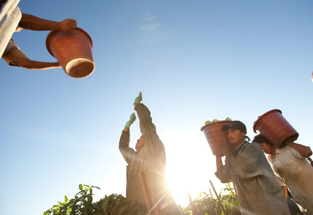 About Us — Immokalee Fair Housing Alliance