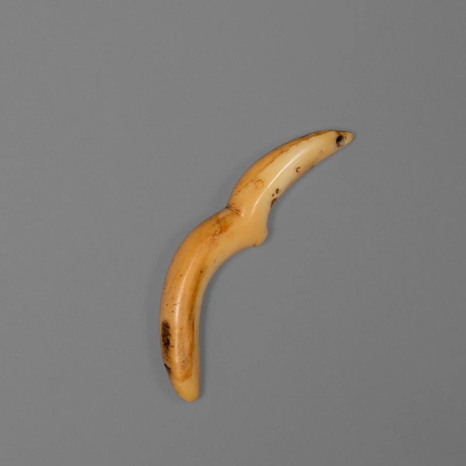 10200_2_001.jpeg