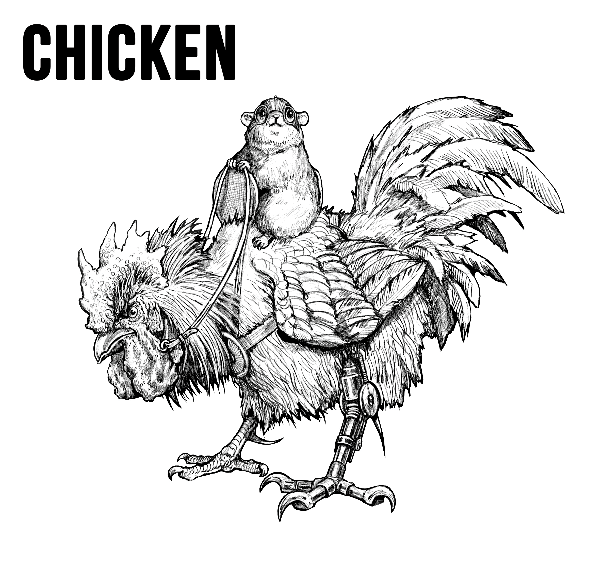 Chicken.png