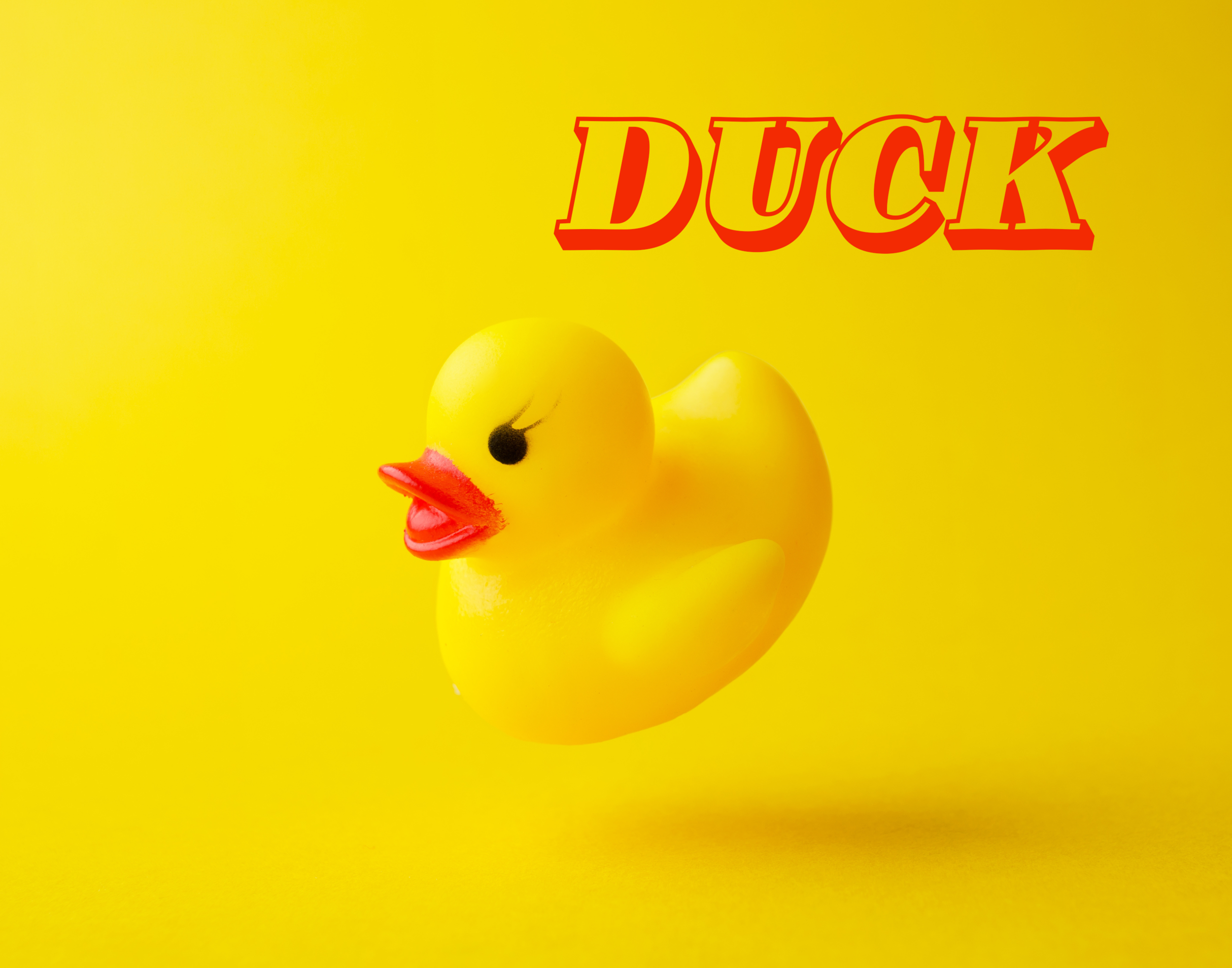 duck.png