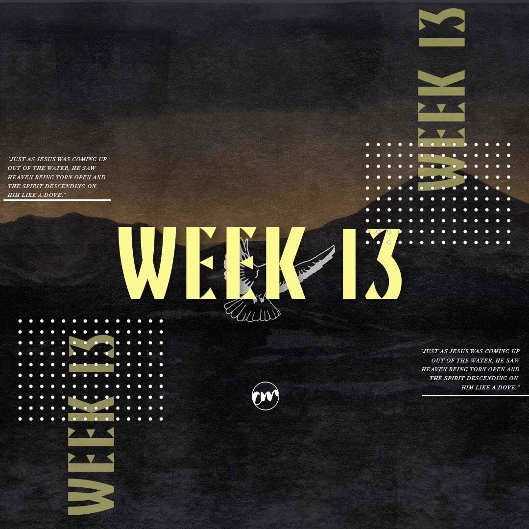 week 13 - MD.JPG
