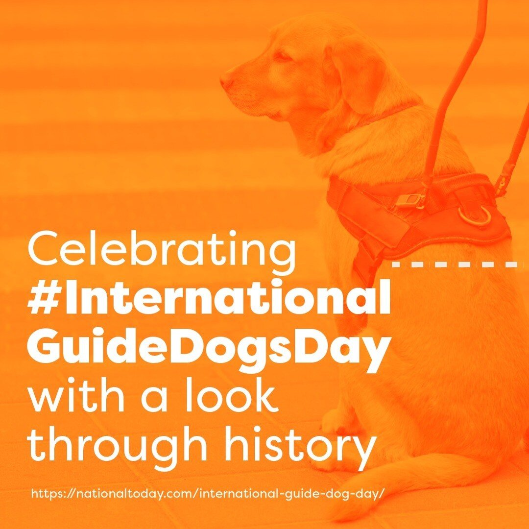 Did you know that service animals have been around for centuries? The first record of mention dates back to the 1500s. 😱 Swipe to see how these special pets have been showing humans #UnconditionalLove for years! #hartz #internationalguidedogsday #lo