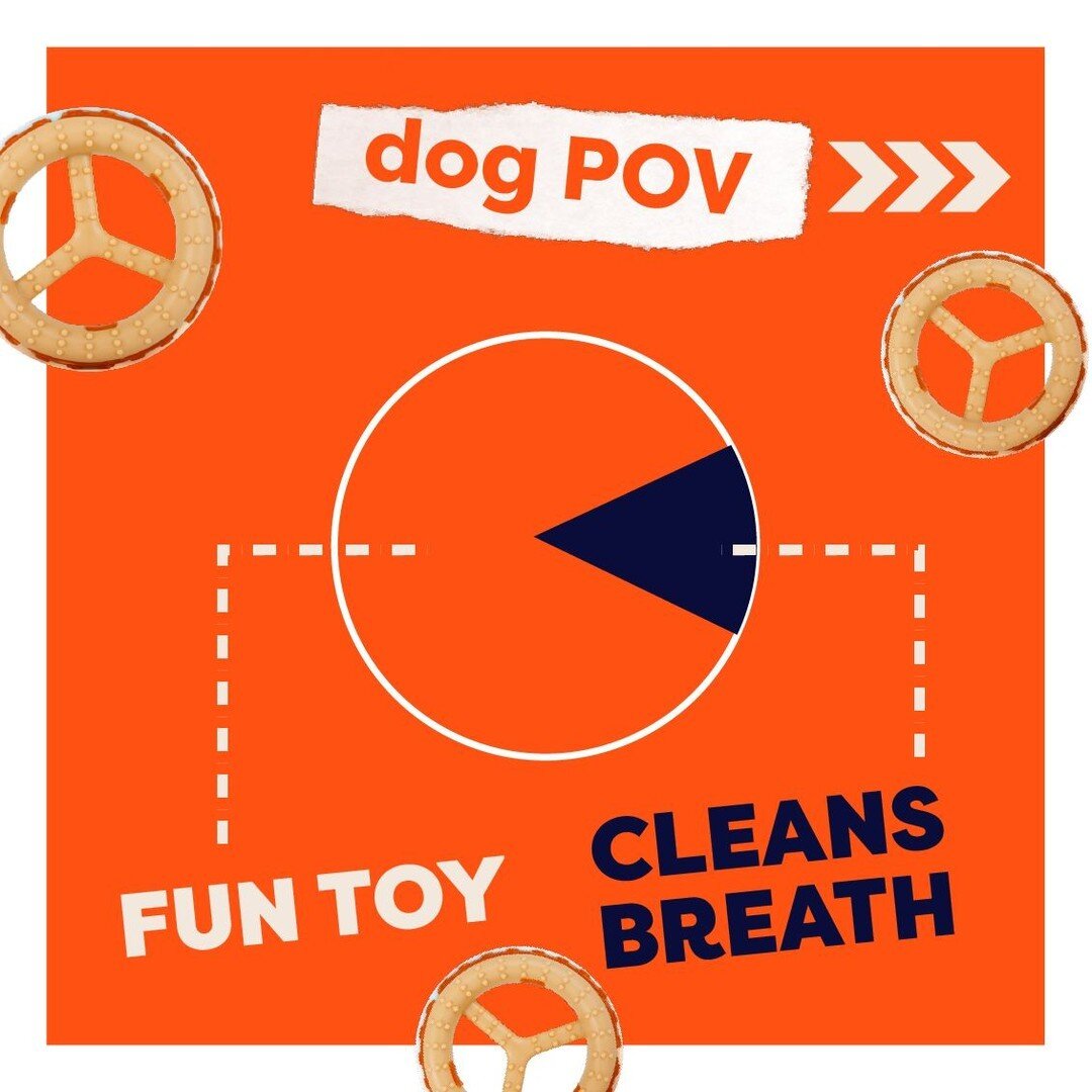 Pets love their CHEW 'N CLEAN for the tasty toy. Pet parents love it during lick attacks. 👅 Either way, there&rsquo;s a whole lotta #UnconditionalLove wrapped up in this little toy. 🧡 #hartz #chewnclean #dogsofinstagram #doglife
