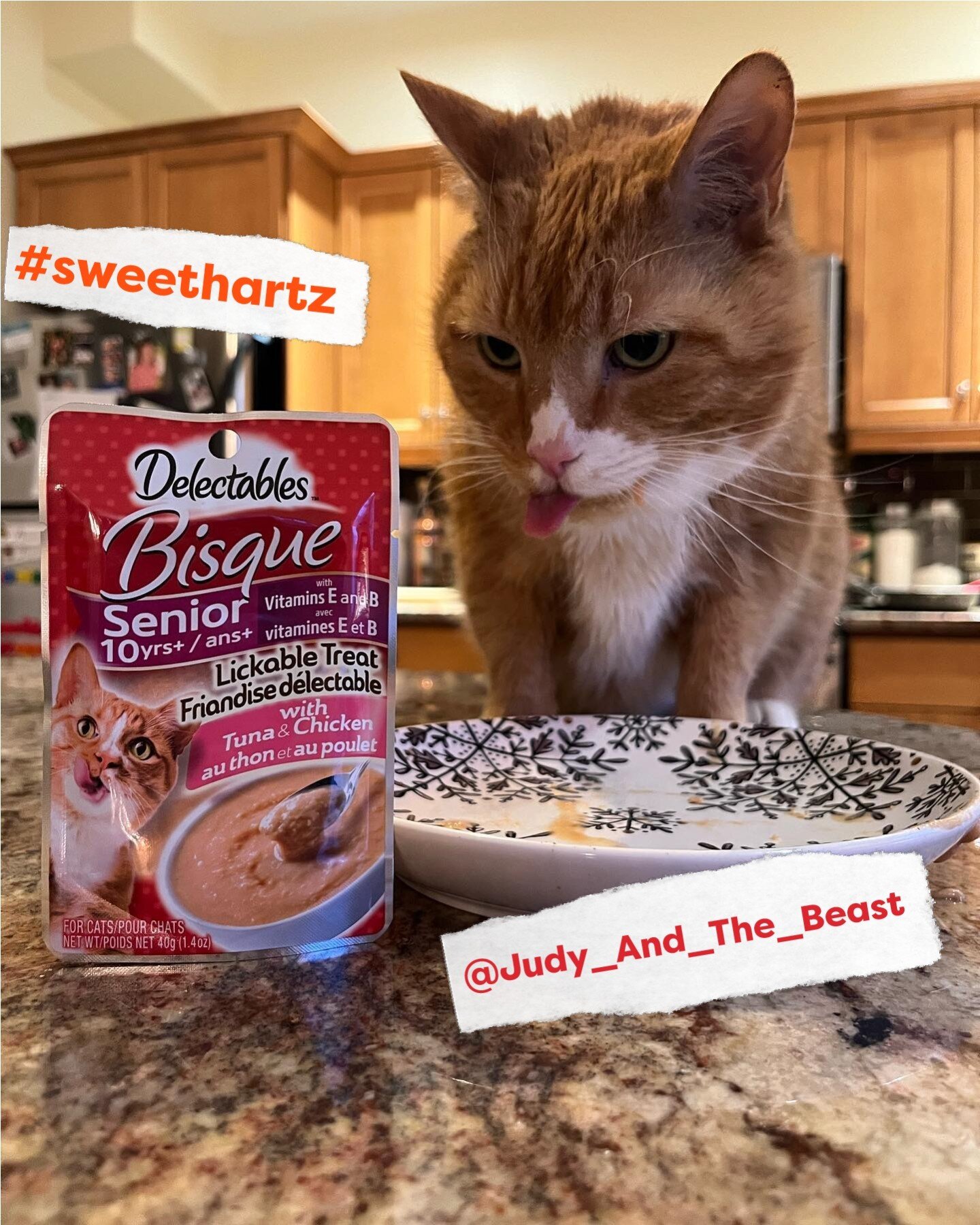 We mean it when we say that #DelickableDelectables cat treats are so delicious, your cat will lick the bowl clean every time! 👅 Don&rsquo;t believe us? Test the theory for yourself&hellip; Like @judy_and_the_beast! 😋🐱#UnconditionalLove #Sweethartz
