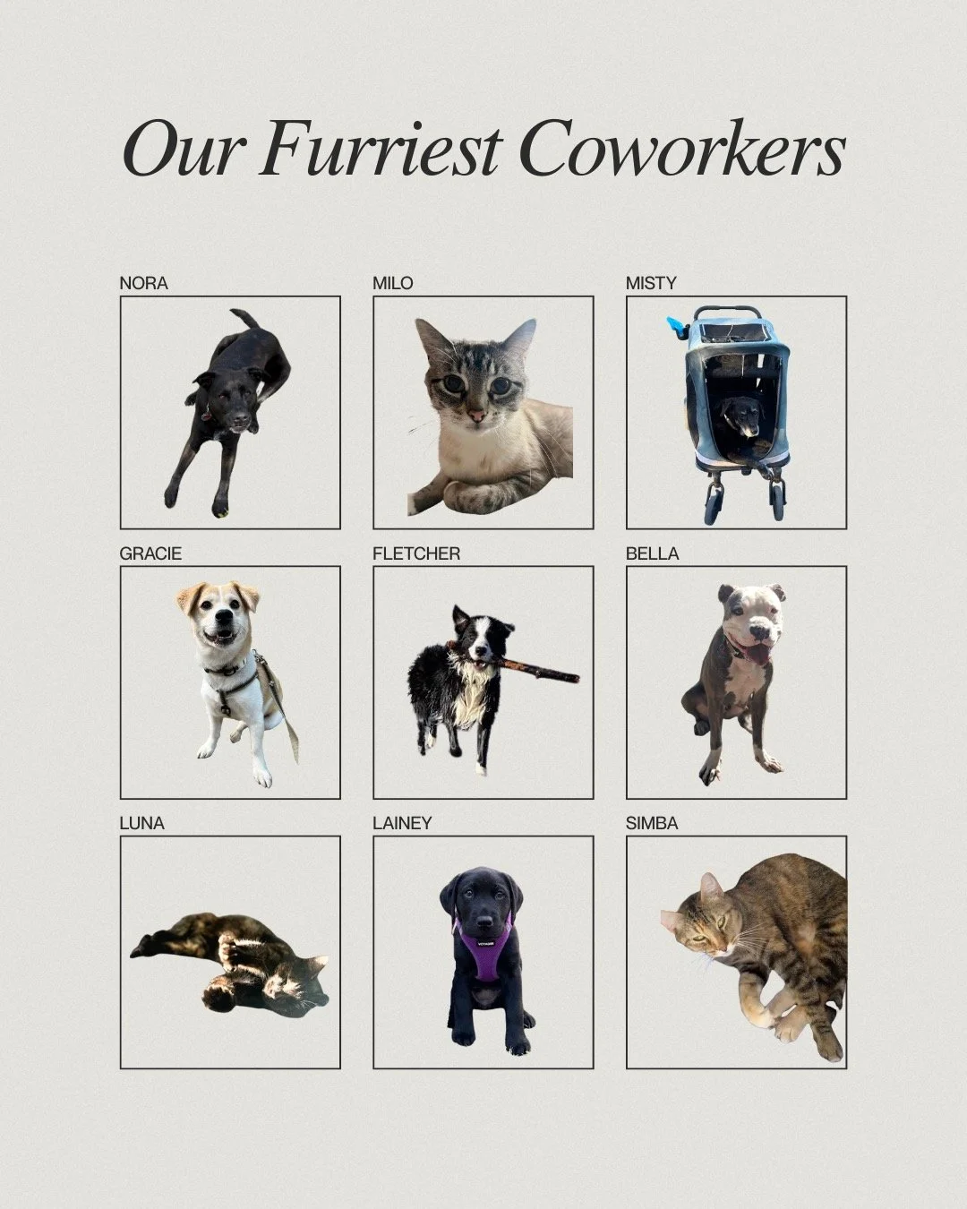 Creative. Loyal. Highly treat-motivated. Celebrating our favorite four-legged team members this #NationalLoveYourPetDay. 🐾❤️