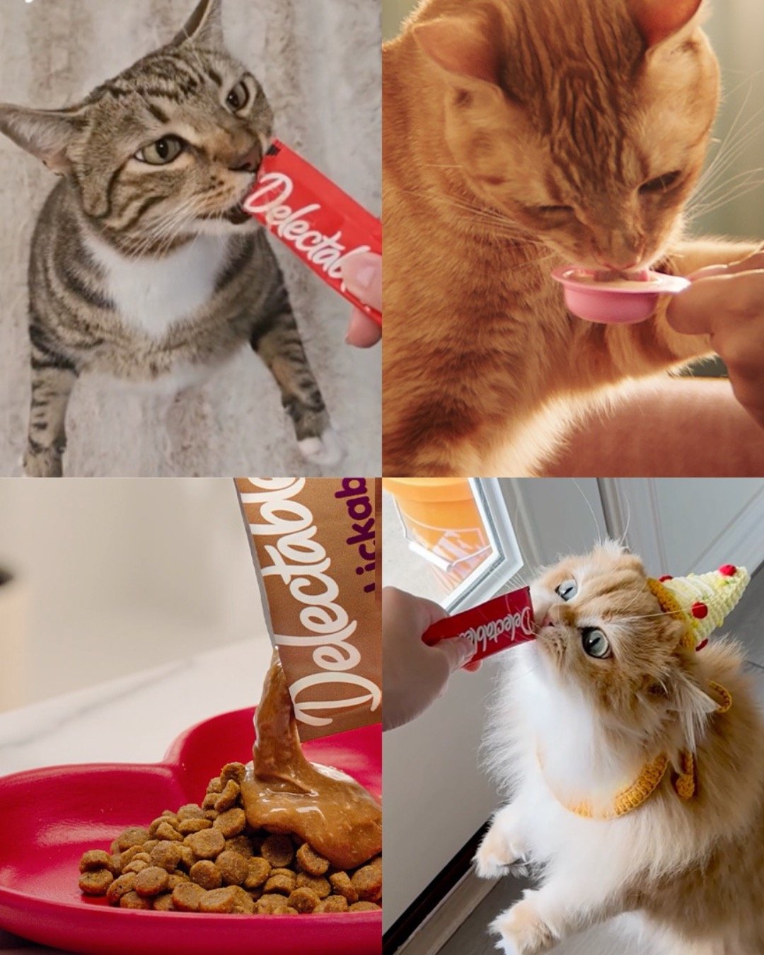 That little lick moment?🐱 It sparked 200+ pieces of UGC and millions of views with help from creators and influencers.

We partnered with Delectables to turn it into something bigger, helping earn the #1 wet cat treat spot worldwide.

Read more at t