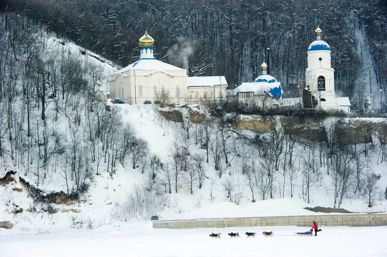 Volga Quest — Qrill Pet Arctic World Series