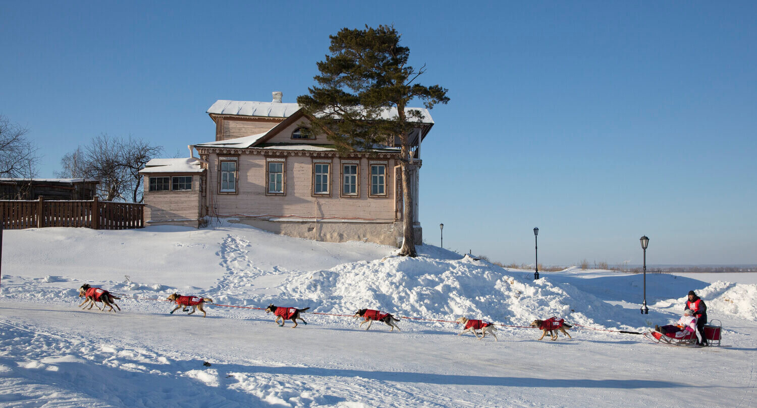 Volga Quest — Qrill Pet Arctic World Series