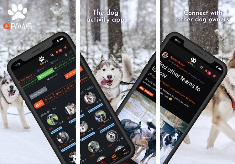 Introducing QPaws - The Dog Activity App — Qrill Pet Arctic World Series