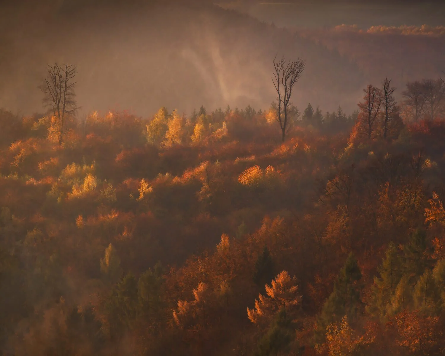 Landscape with a strong color mood created through grading.