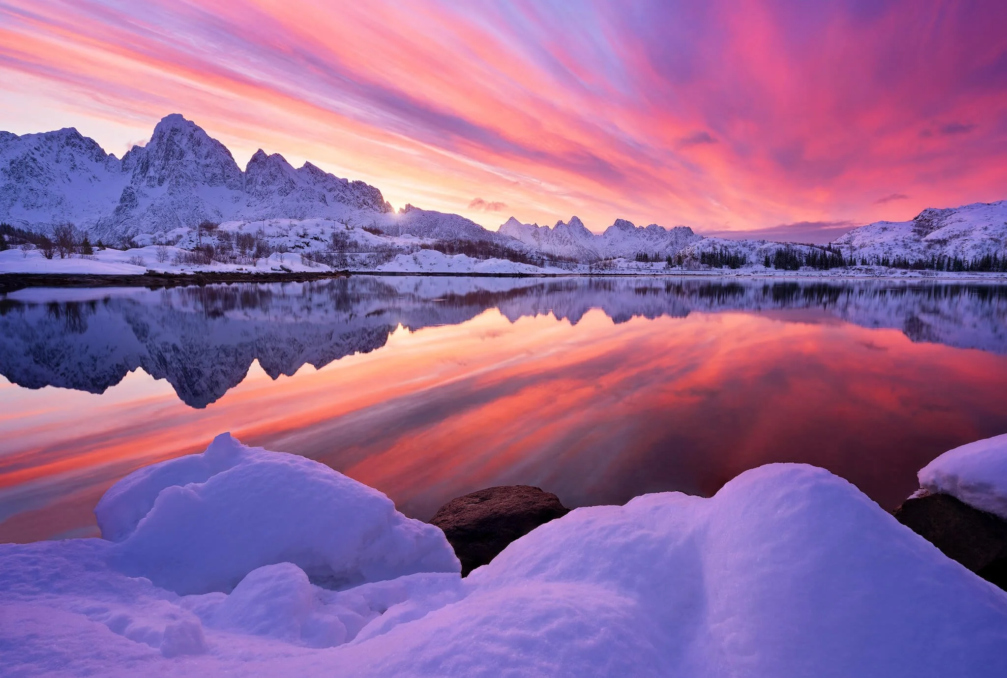 A pink and orange sunrise sky reflected in still water, snow-covered Lofoten peaks along the far shore and snow-mounded boulders in the foreground.