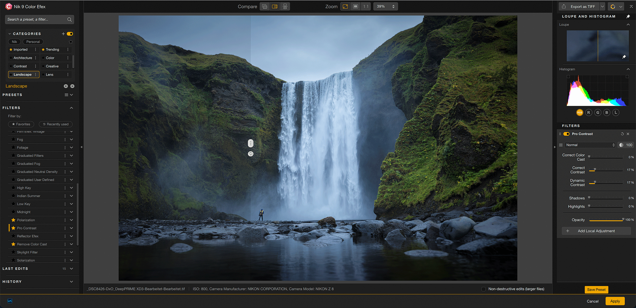 The Nik Color Efex filter panel open over a landscape image during editing.