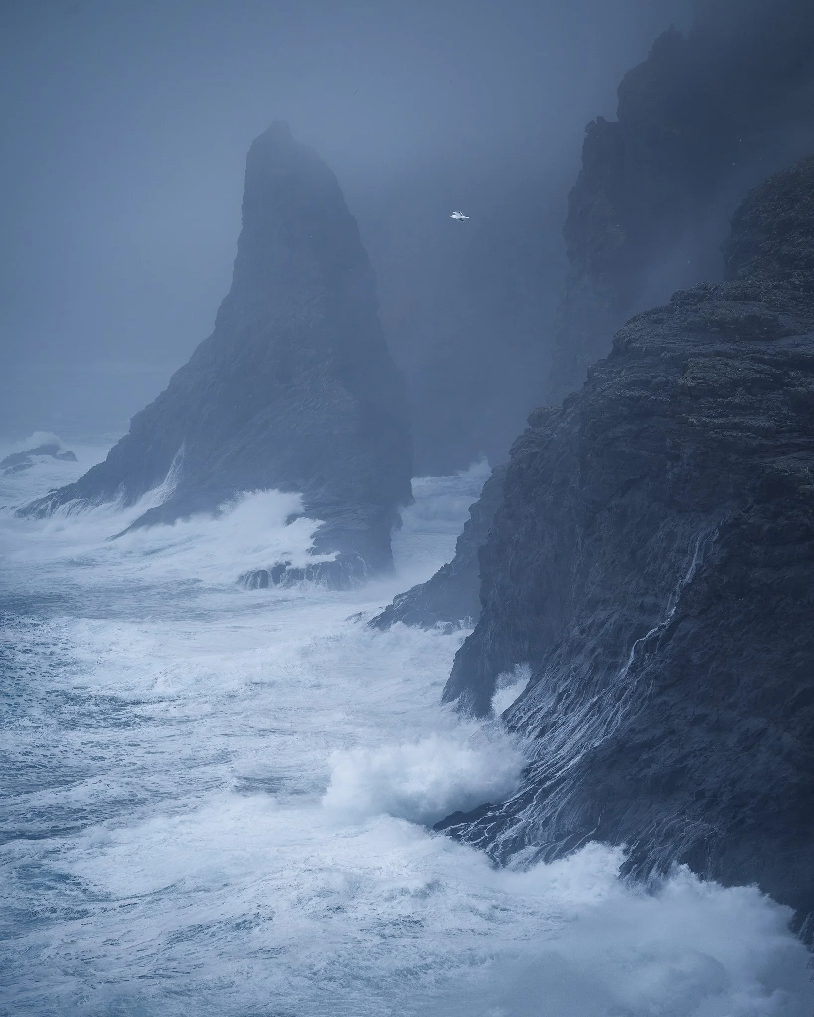 A bird flying in the stormy winds at Bøsdalafossur with a view towards Geituskorardrangur and the sea, Faroe Islands