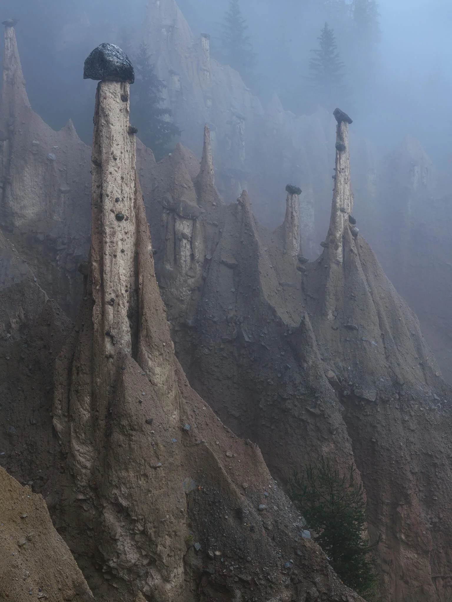 Tall clay earth pyramids, each capped with a balancing boulder, rising through blue morning mist above eroded ridges and fir trees in the Dolomites.
