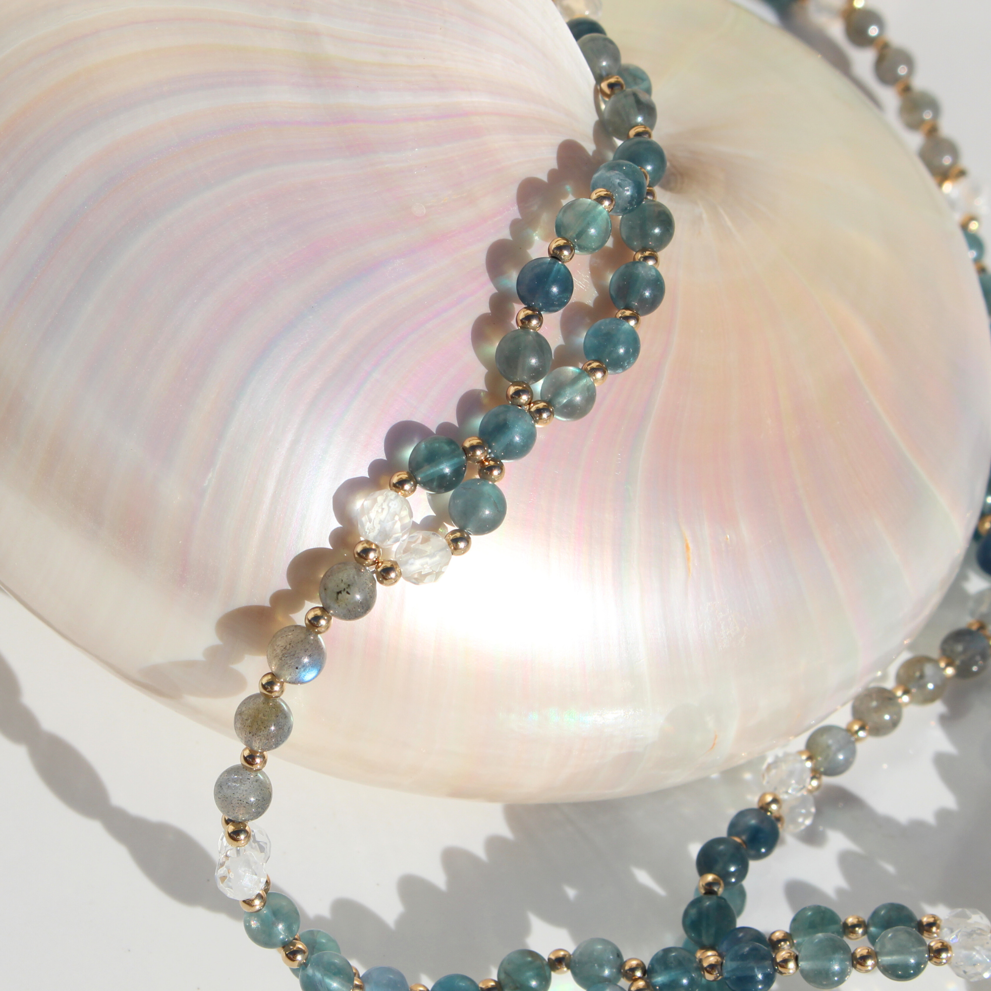 Untitled design (19).png