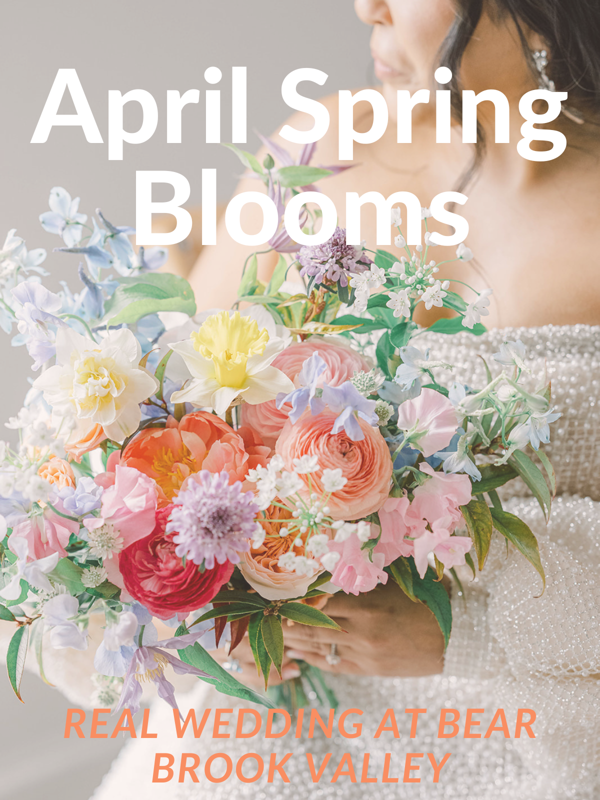 Spring Flowers at Bear Brook Valley