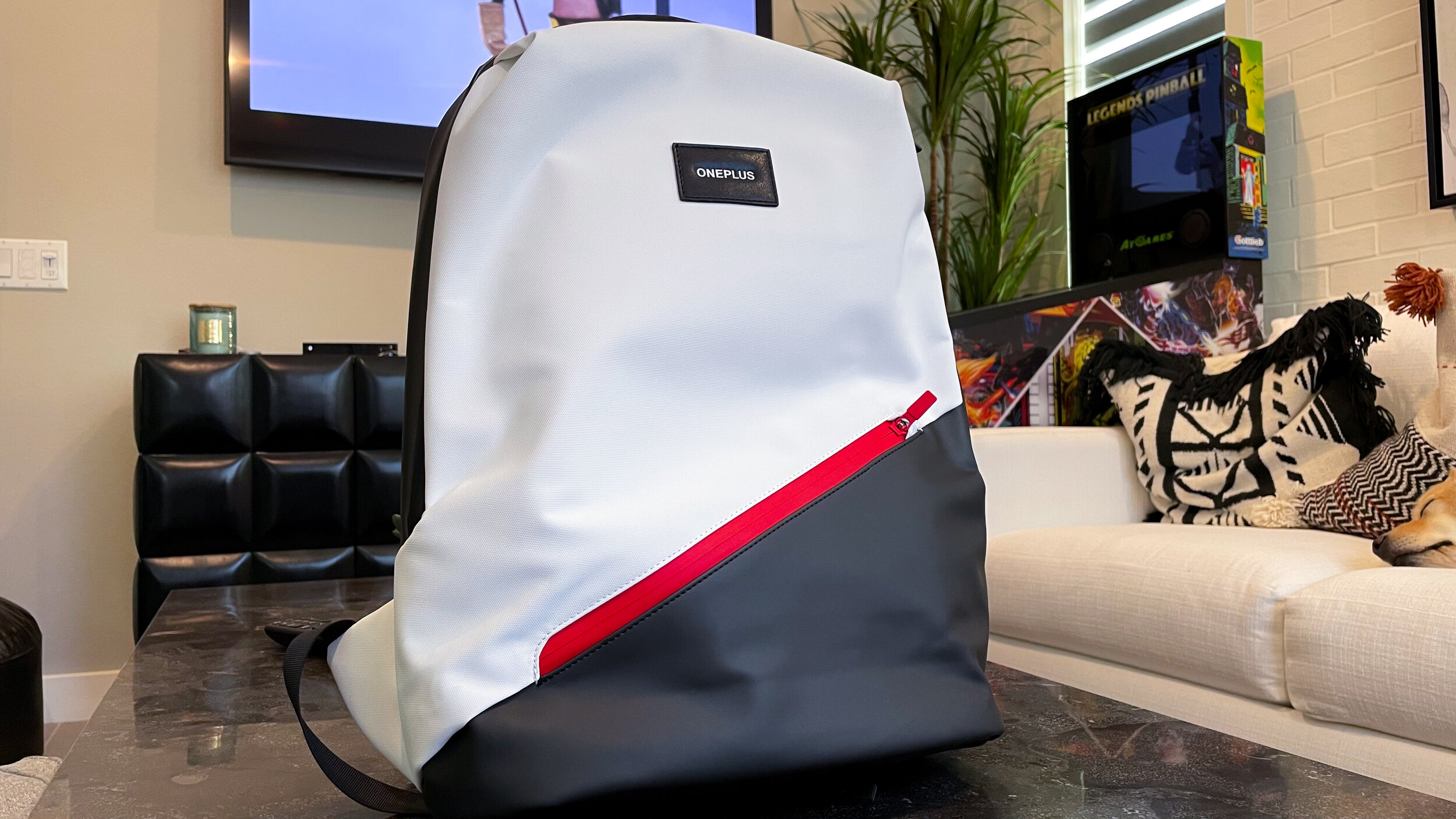 OnePlus Backpack Front Indoors.jpg