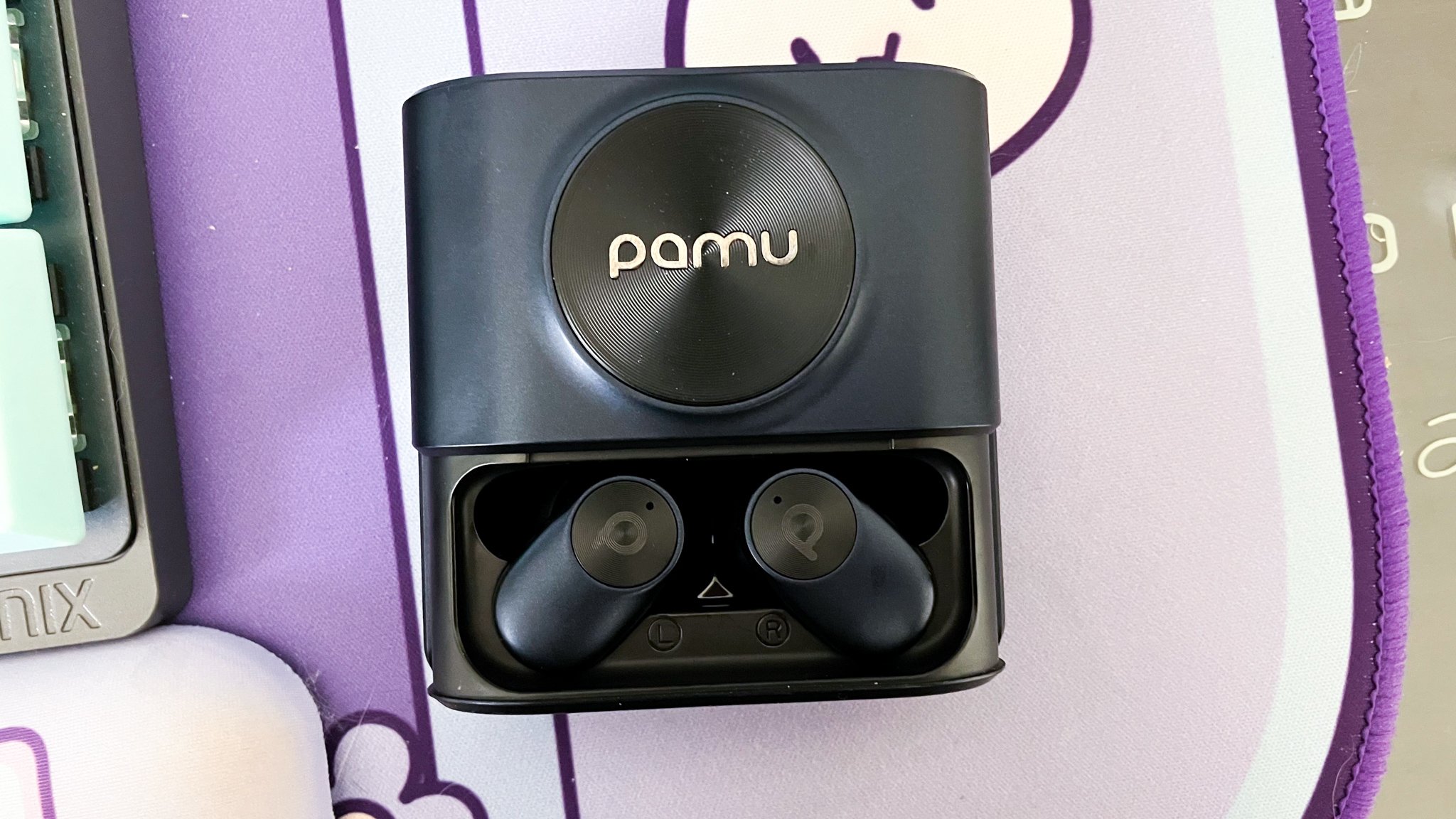 Pamu Earbuds in Case.jpg
