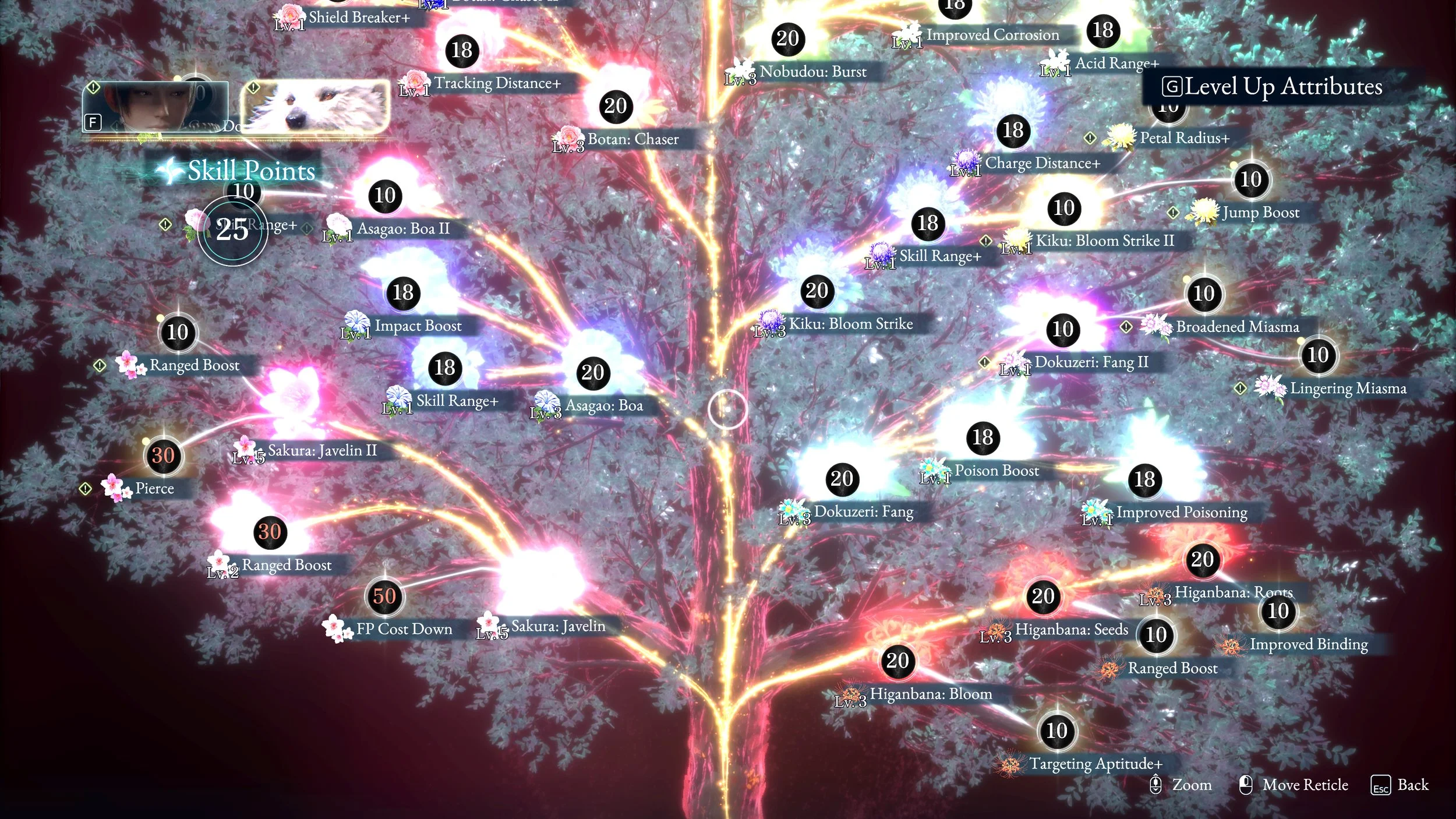 Skill Tree.jpg