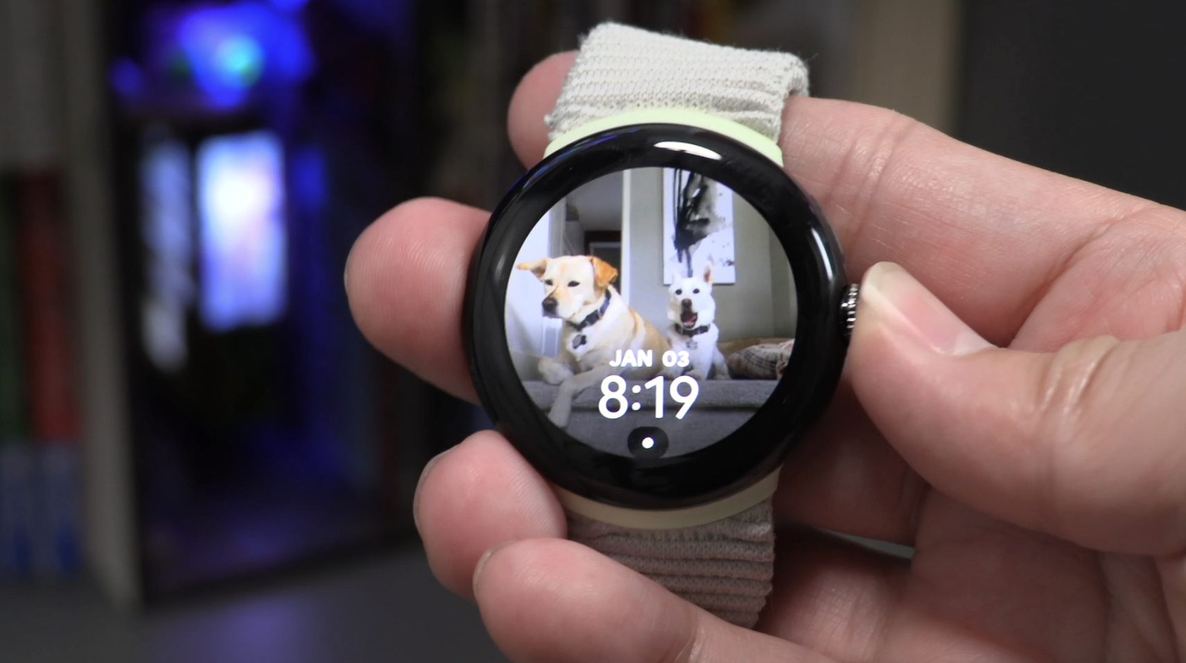 Google Pixel Watch Review: I Don't Get It — Sypnotix