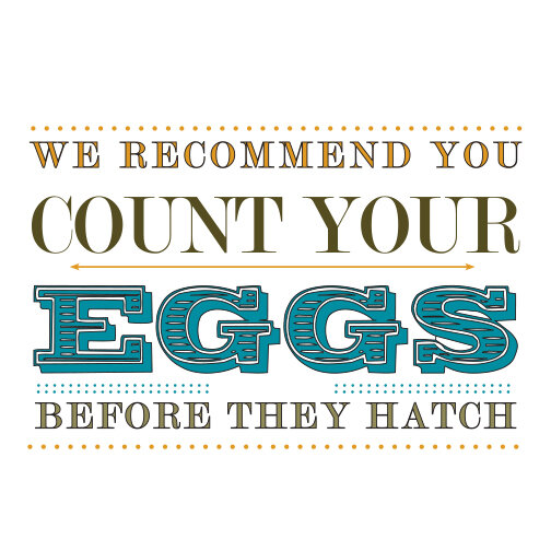 Count Your Eggz small.jpg