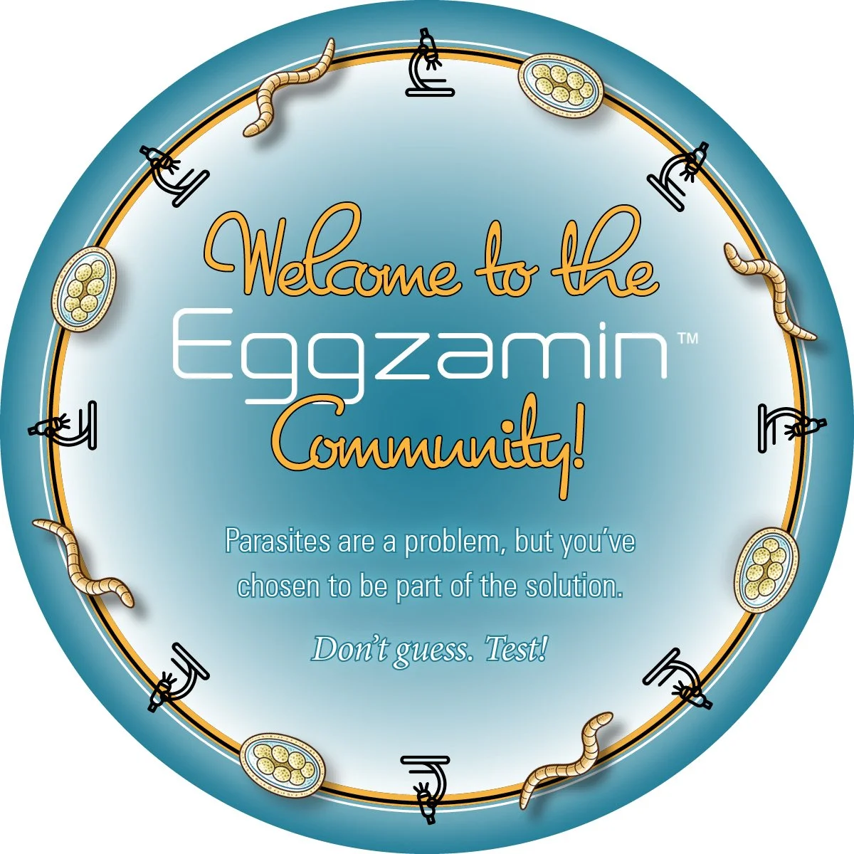 Eggzamin Share Your Story