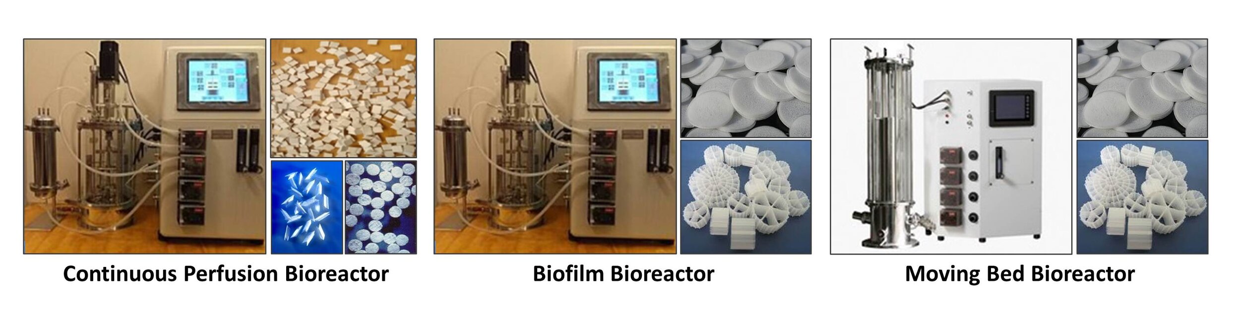Perfusion-Biofilm-MB_Bioreactors.jpg