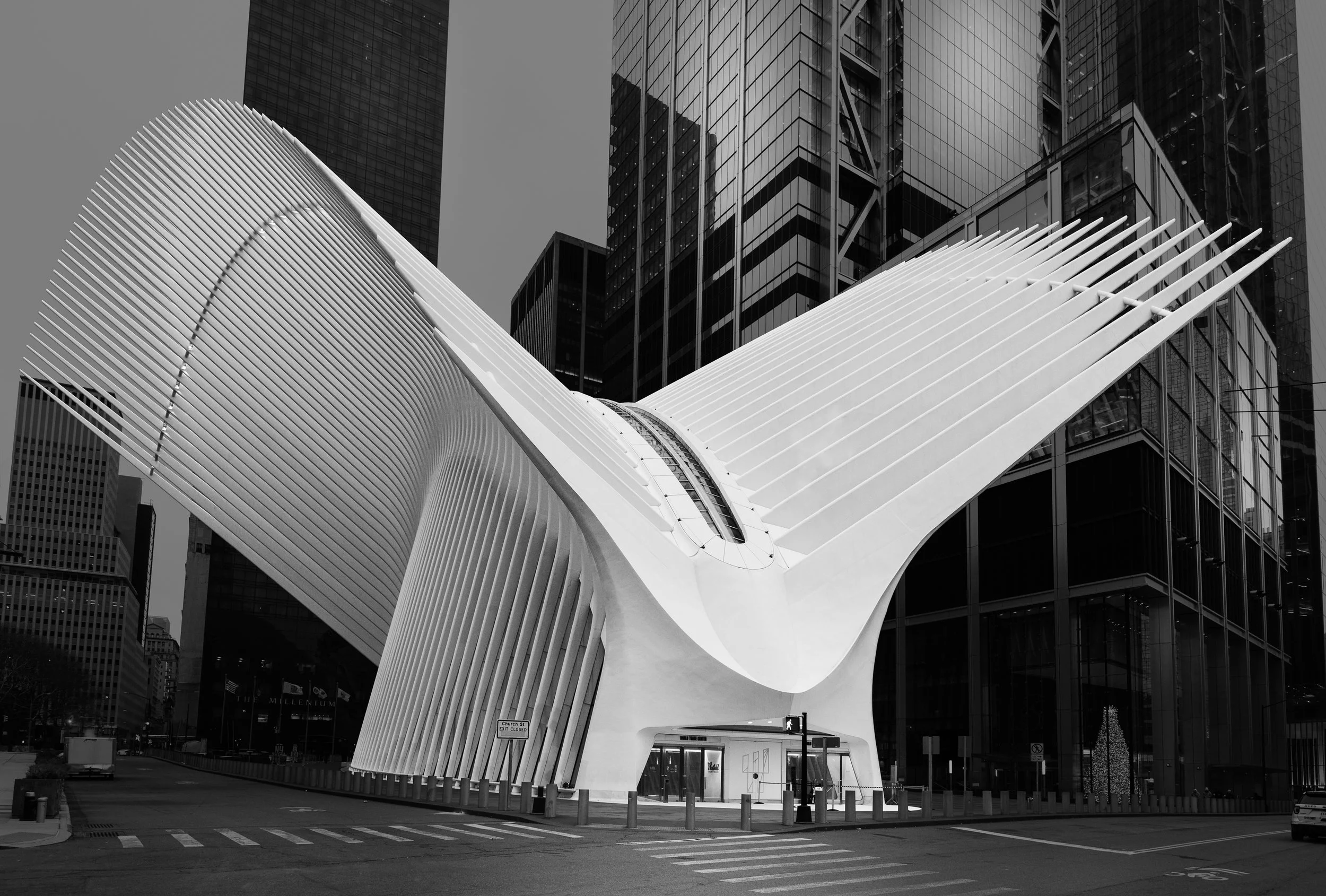DSC_7987-Edit.jpg