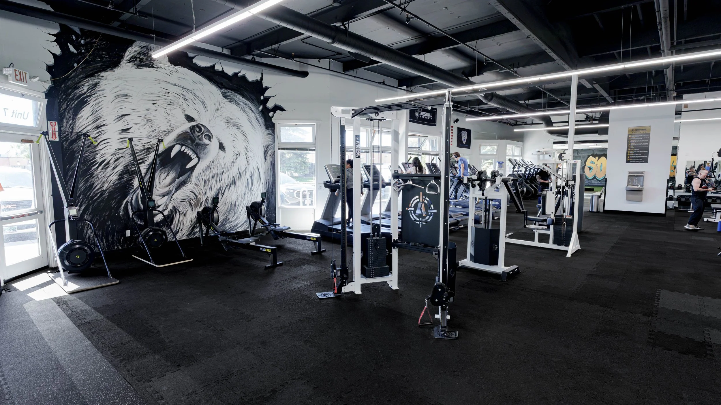 Selectorized cable machines and training accessories at Southside Strength and Fitness strength gym in Anchorage, AK