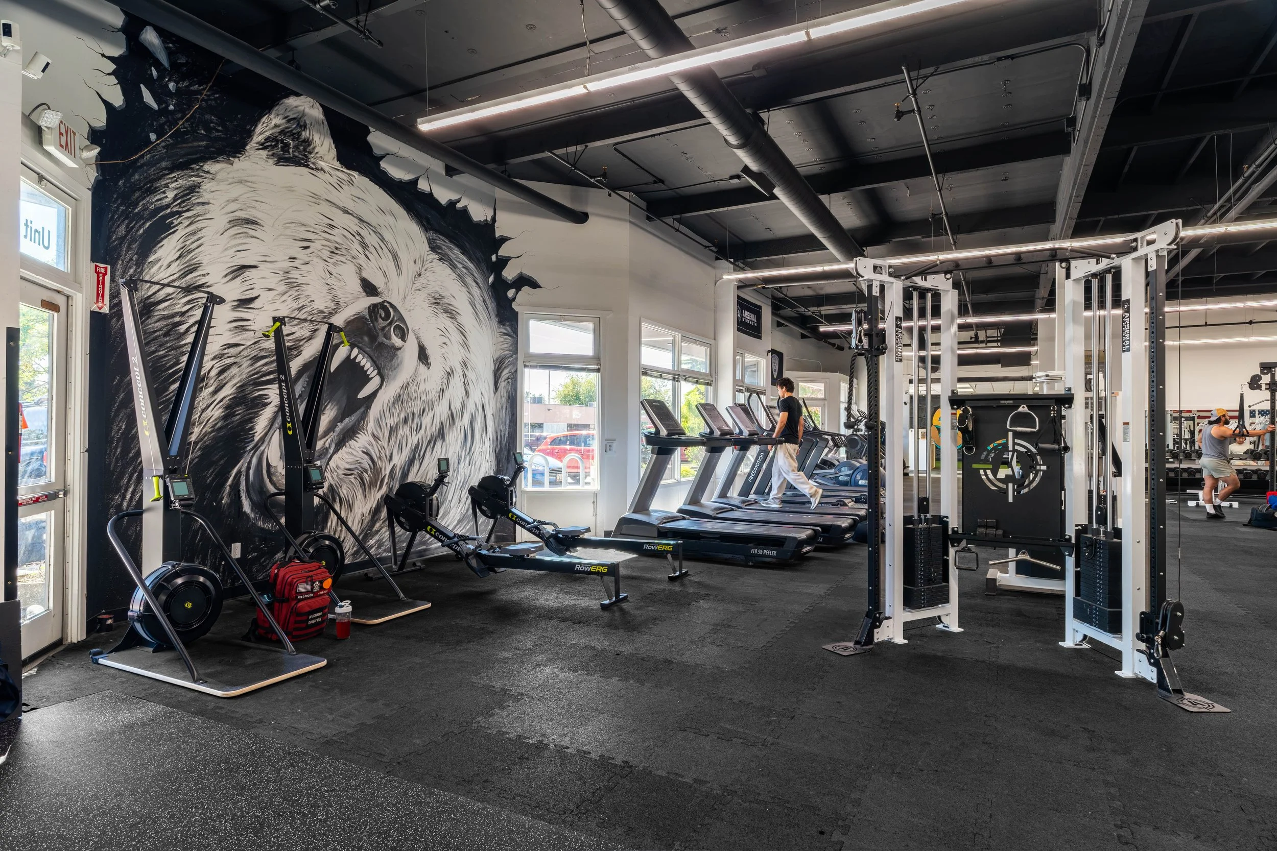 Fitness gym with treadmills, elliptical machines, weightlifting equipment, a large bear mural on the wall, and people working out.
