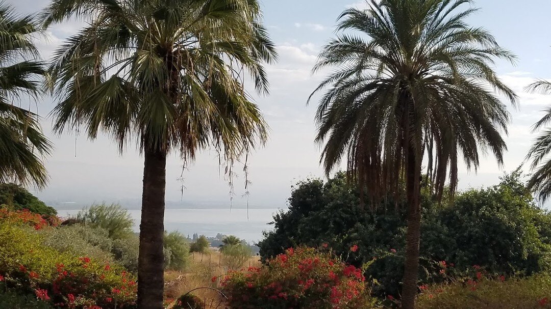 Beatitude means: Happy 😀 &amp; Blessed!  Standing on the Mount of Beatitudes, we gazed at the Sea of Galilee 👀. Jesus delivered the Sermon on the Mount and recounted eight blessings.  Here's one:

🎚 Blessed are those who hunger and thirst for righ