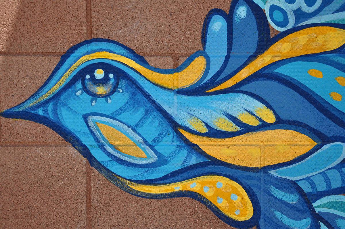 [fade]SAN YSIDRO HIGH SCHOOL[/fade]