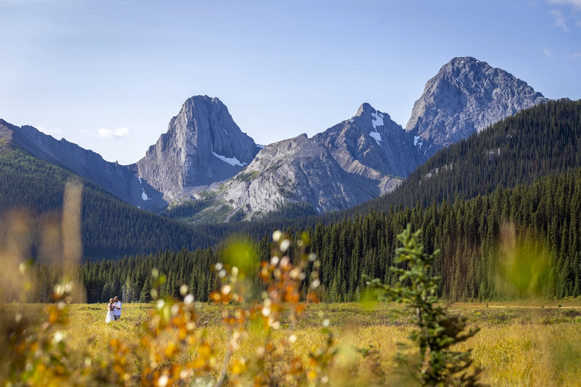 fall-elopement-photos-at-Mt.-Engadine-Lodge-in-Kananaskis-with-local-photographers-and-elopement-planners-Wild-Alpine-Image-Co.
