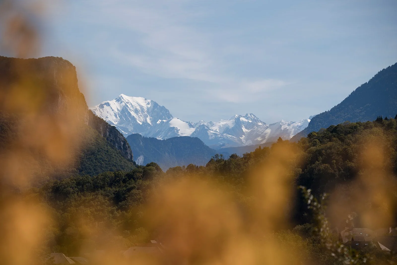 Wild_Alpine_20250906_47539_websize.jpg