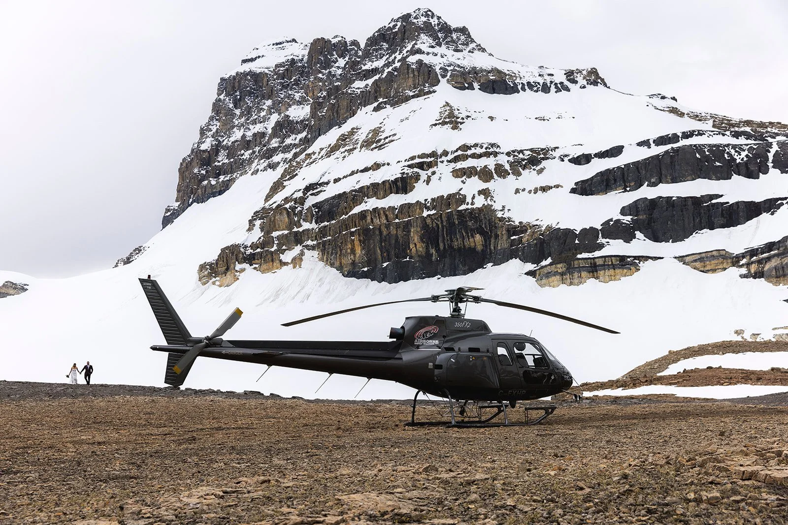 Wild_Alpine_20260615_48999_websize.jpg