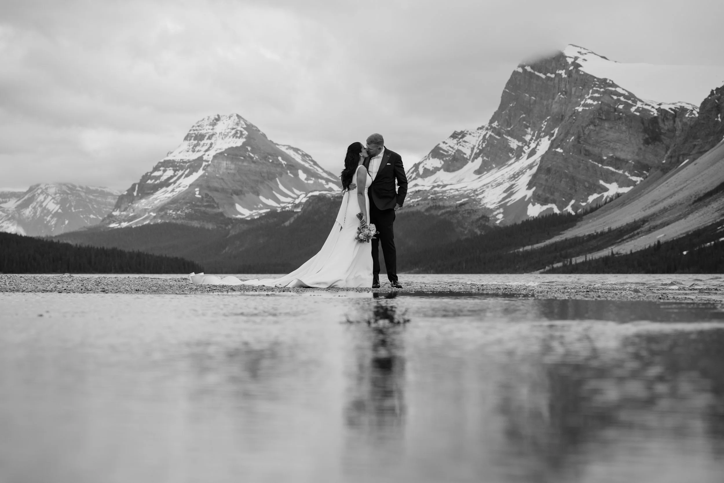 Wild_Alpine_20250623_43293 (1).jpg